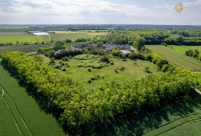Cladire industriala de vanzare cu potential 3,5 ha in Batania - 22