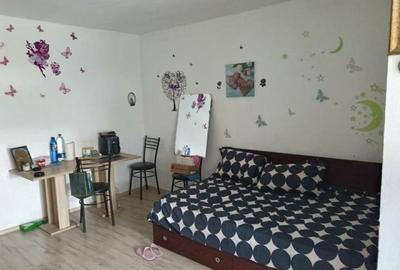 Titan piata Minis-aleea Barajul Uzului - 1