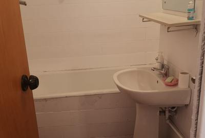 Apartament 3 camere Giurgiului - Luica - 5