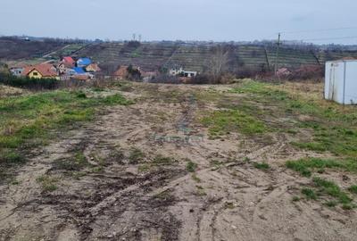 Vanzare Teren intravilan 3133 mp strada Sofiei, Oradea, Bihor - Exclusivitatate - 3