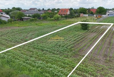 Teren 1500 mp Caciulati Moara Vlasiei, cu utilități - 4