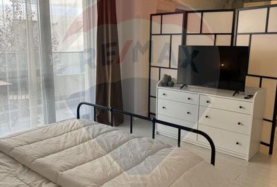 Inchiriere Studio în zona 13 Septembrie, Catrdrala Națională - 4