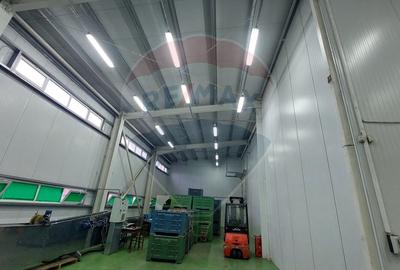Depozit/Spațiu industrial Vaslui - 0% Comision cumparator - 41
