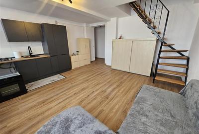 Apartament 2 camere pe 2 nivele FAGET - 4