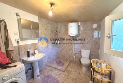 CASĂ + teren 4500 mp DRAGOMIREȘTI, judetul Neamț - 13