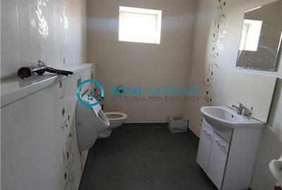 Royal Imobiliare-Inchiriere Spatiu de Birouri Zona Cantacuzino - 31