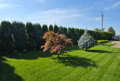 Casa de Vis, Serbanesti - 5