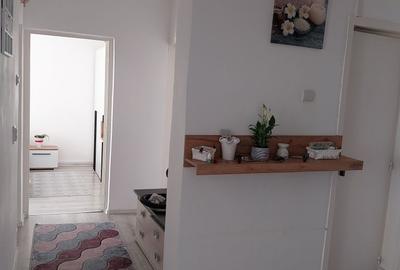 Apartament 3 camere renovat zona Craiter - 8