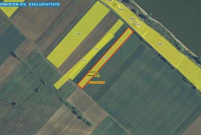 Teren 5000 mp Vrancea - 1