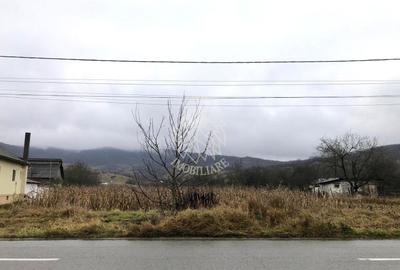 Parcele teren intravilan 1000 mp cu utilitati-ideal casa-Arcalia - 1