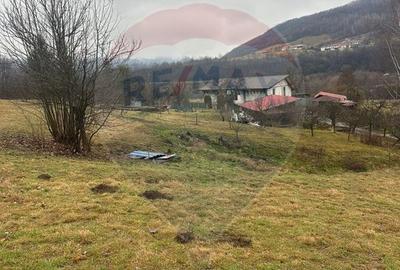 Teren 7,135mp Negreni / DN E60 - 3
