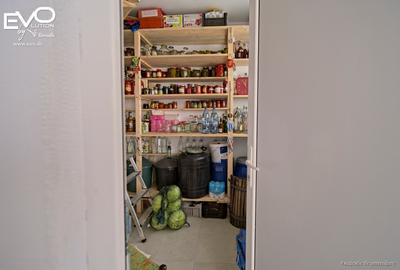 Evolution Apartments