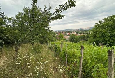 Casa 4 camere + teren 7500 mp - 12