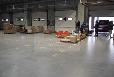 Chirie- Spatiul Industrial/ Depozit-Bragadiru - 1