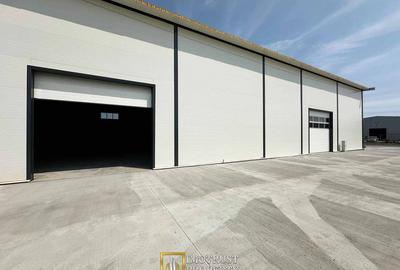 Hala industriala noua de inchiriat – 350 mp | Arad Micalaca Est - 1