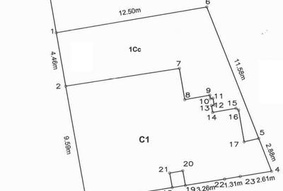 Vila Istorica, inchiriata, Dorobanti Capitale - 2