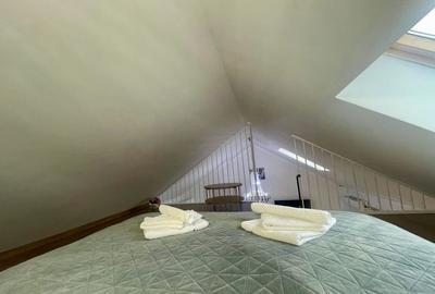 Casa moderna de inchiriat | Burdujeni | Pret pe zi - 9