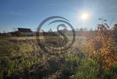 Teren intravilan de vanzare | 12.650 mp | Ghirdoveni, | Comision 0% - 11