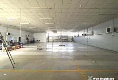 Depozit 600mp 2 rampe + birouri 180mp, 14 parcari, Lidl - Baciu - 2
