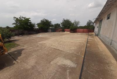 Hala in Independenta - 3