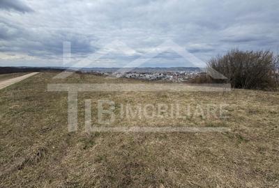 Teren, 1.000 mp, intravilan, Zona Viile 1 Mai - 3