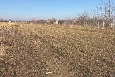 S.C Vimak Imobiliare vinde teren intravilan Stupini. - 3