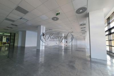 Spatiu birouri clasa A, zona Grigorescu - 18