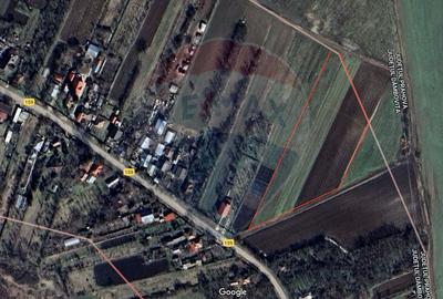 Teren Construcții intravilan de 10000 mp, în Butimanu