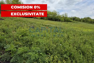 Teren extravilan 11 600mp, Dezmir - 1