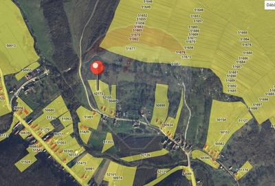 Casa cu 2 camere si teren 4887mp de vanzare in Dabaca - 2