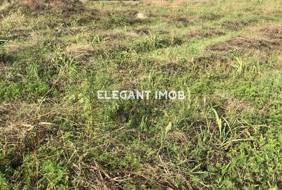 Teren deosebit in Paradisul Verde - 1