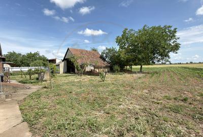 Casă 4 camere, Teren 1955 mp Str. Vezendiului Nr. 366 - Loc. Petrești, Satu Mare - 15