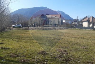 Teren intravilan 1,486mp Zarnesti / Soseaua Branului - 1