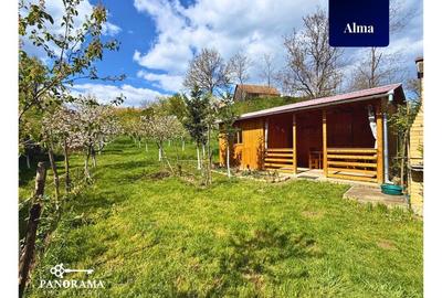 Teren Intravilan cu cabana  in satul transilvanean Alma - 7