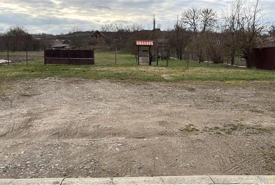 De vanzare spatiu comercial cu teren de 80 arii, Santioana, Jud Mures - 14
