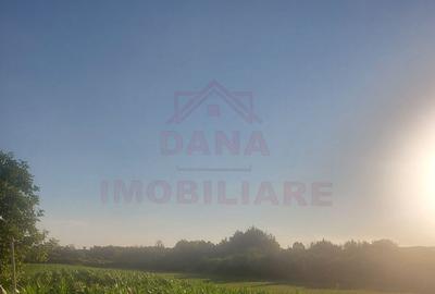 TEREN DE VÂNZARE-32480 mp CARANSEBEȘ JUD.CS,  0% COMISION - 2