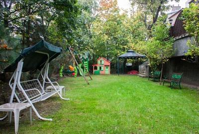 Vila Dorobanti capitale Mauro Florentin - 3