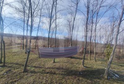 Cabana de lemn cu  700mp intravilan, Ciurea - 3