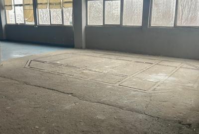 Spațiu industrial, 183 mp în Theodor Pallady