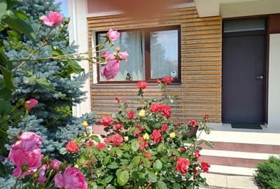 Vila cocheta, zona de vile linistita, ideal familie cu 2 copii - 4