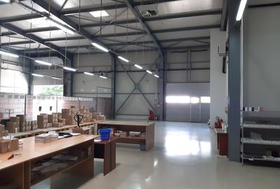 Birouri, Showroom, Sala de prezentari, Depozit , functiuni multiple - 4