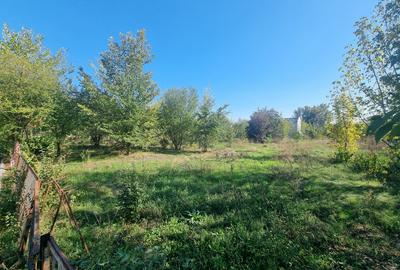 Loturi teren 500-1000 mp Strada Nuferilor / Petrom City - 5