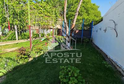 Casa individuala de vanzare, cu garaj, Lipovei, Timisoara - 17