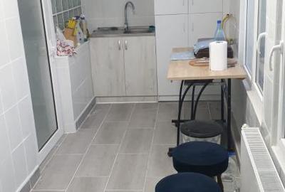 Vila Cocheta P+M  119 mp construiti caramida Pta. Saraca- Islaz - 25
