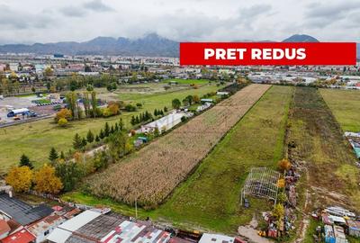 Teren industrial- Timișul Sec oportunitate investițională - 5