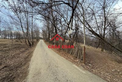 Teren intravilan in Cornu--3074m--90.000e - 1