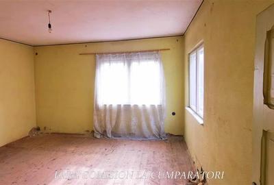 STIRBEI - VODA, CASA CU TEREN 2000 MP - 5