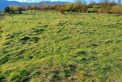 Teren 500m2 Cisnadioara, constructii - intravilan - 1