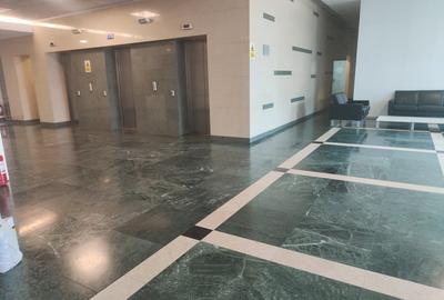 PIPERA - McDonald Inchiriere/Vanzare cladire integrala 9600 mp - 5