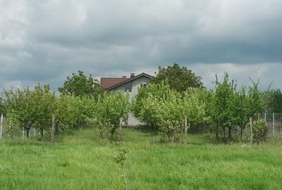Moara Vlasiei , Casa cu teren 4250 m2 - 8
